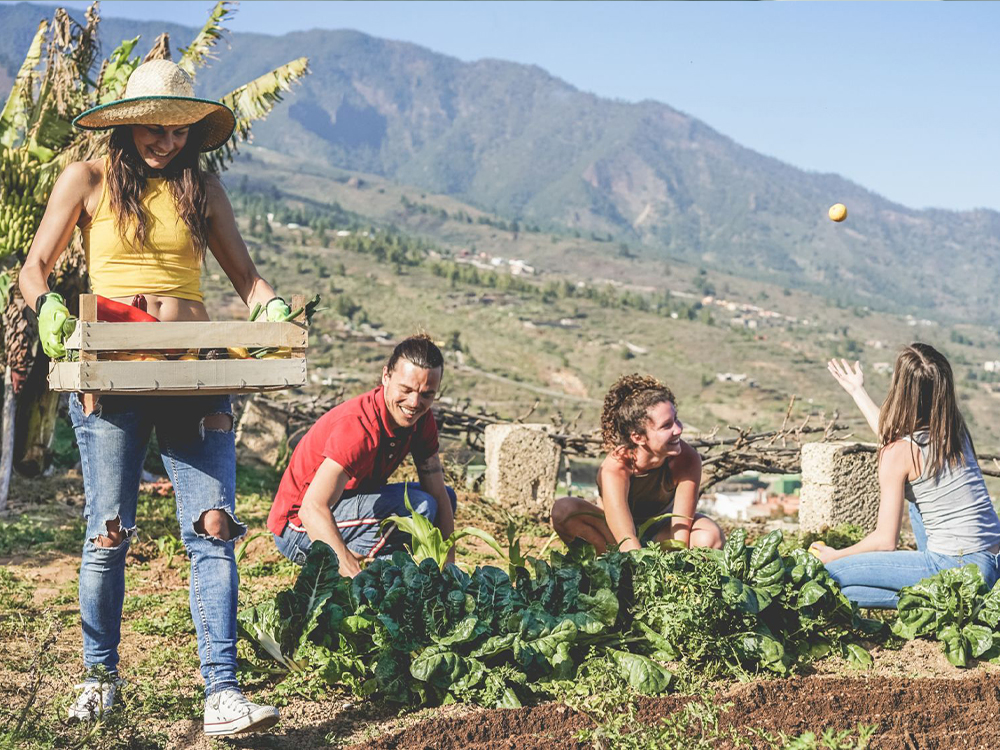 Πρωτογενής Τομέας και Διατροφική Αυτάρκεια